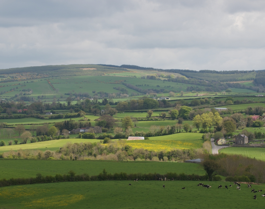 Case Studies Rural landscape of Offaly featuring farmland, hedgerows, and rolling hills