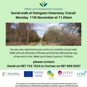This is a poster of the Social Walk happening in Daingean