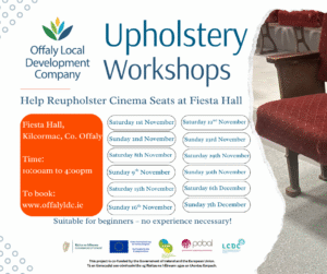 This is a poster of the Cinema Seats happening in Fiesta Hall, Kilcormac