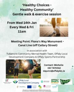 This is a poster of Healthy Choices ~ Healthy Community happening in Tullamore