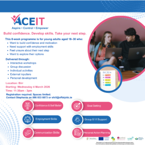 This is a poster of the ACE ~ It Programme that is happening in Birr