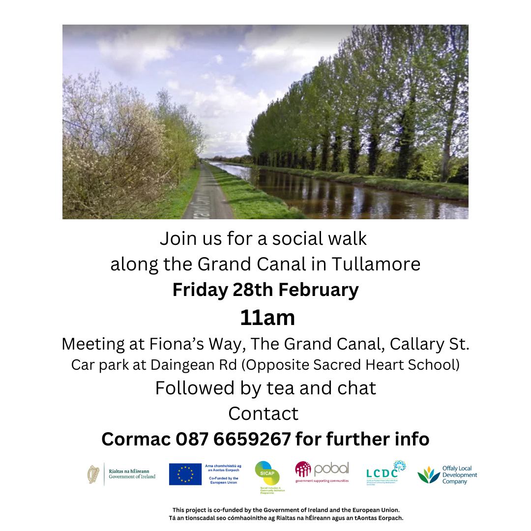 This is a poster representing the Social Walk along The Grand Canal