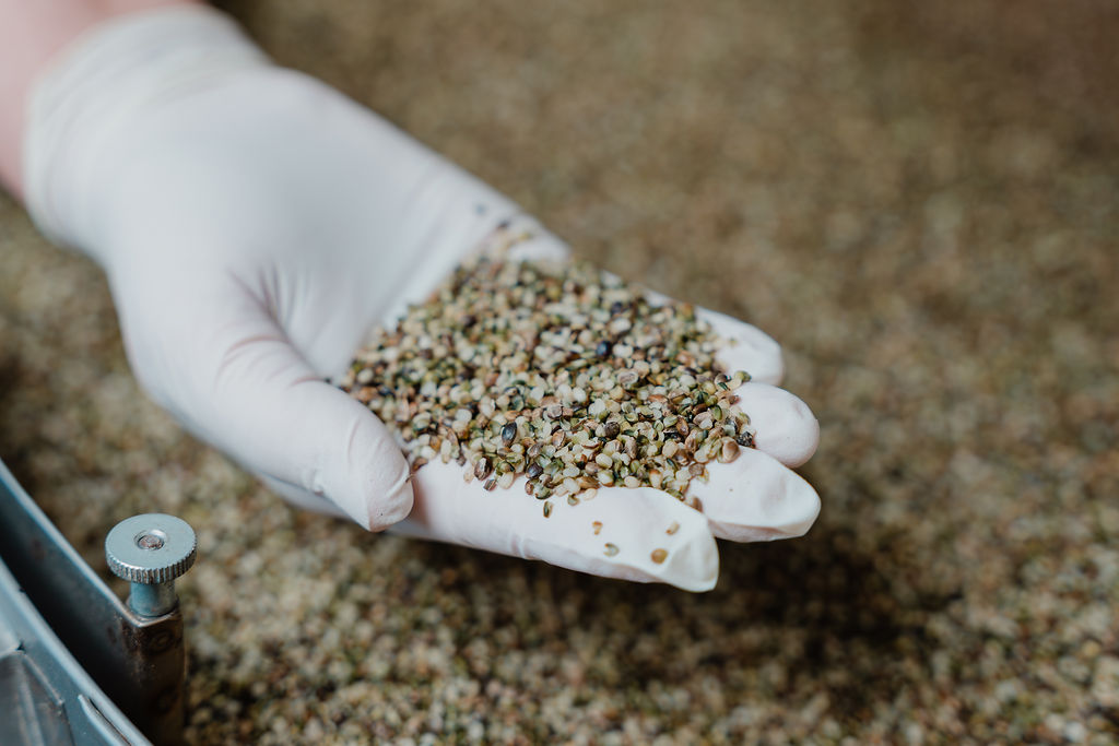 Hemp from Helen Brackens Farm